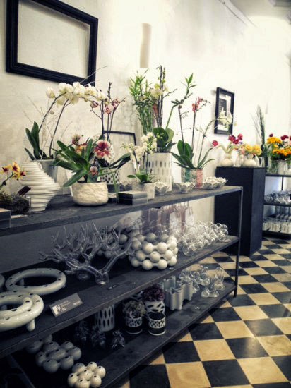 lorem ipsum dolor sit